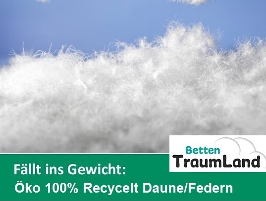 Öko Daune Übergangsdecke 100% Daune recycelt 240x220 nachhaltig ökologisch