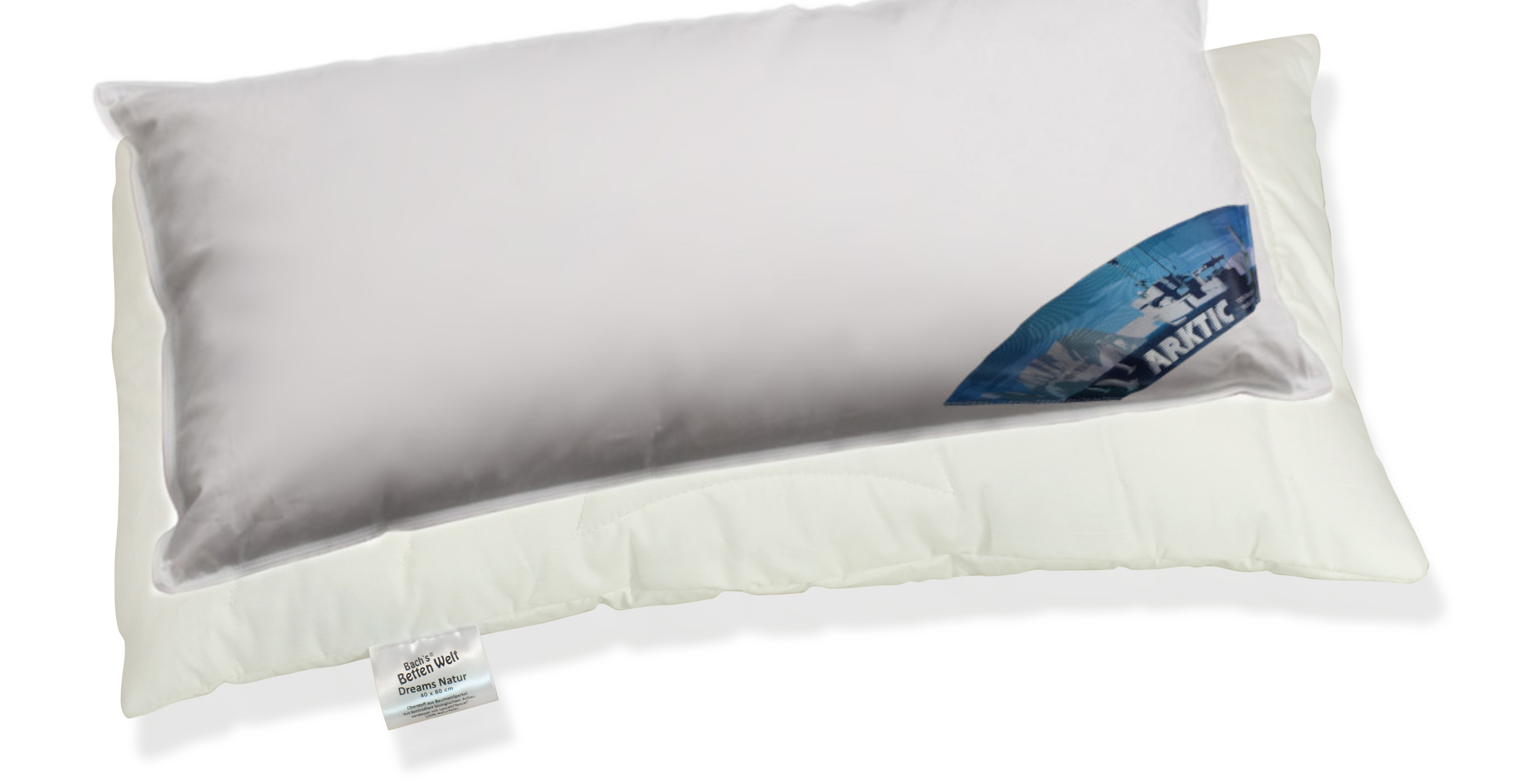 Neuheit Feder-Daunenkissen mit Schonbezug Arktic Kissen Dreams LT Natur extra Komfort 40x80 cm